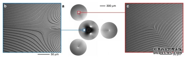 利用衍射变换光学元件实现光束轨道角动量的倍
